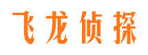 富拉尔基侦探调查公司